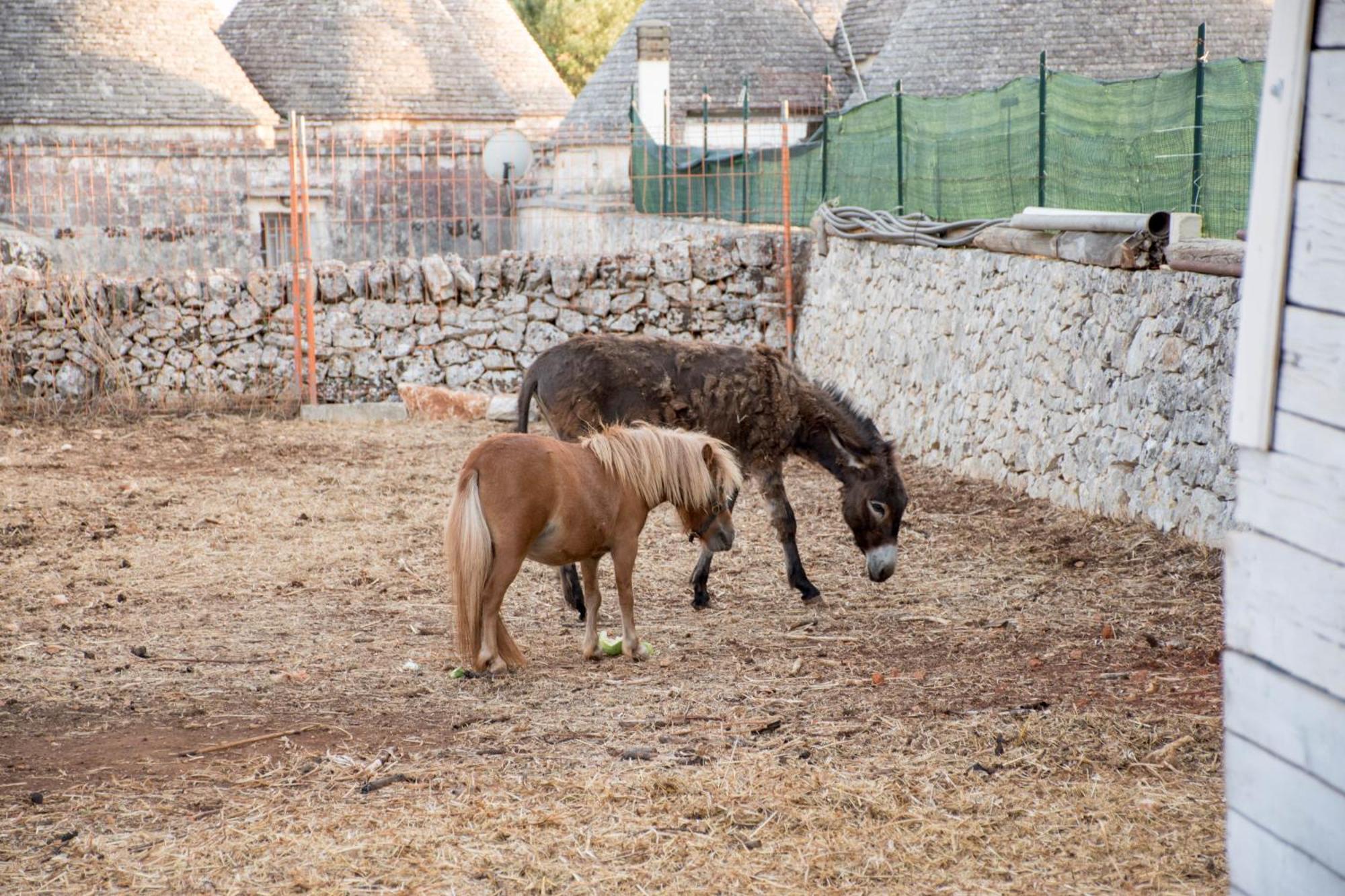 Trullo Cinquenoci Suite Locorotondo Exterior foto